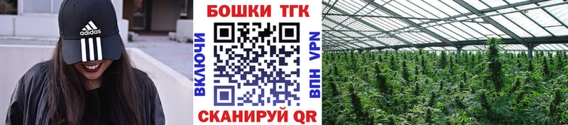Купить закладки  Балей  Бошки марихуана тримм 